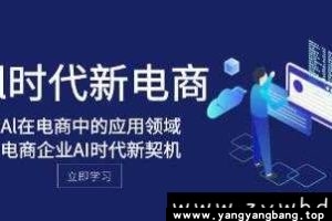 《Al在电商中的应用领域》视频学习资料[MP4/749MB]百度云网盘下载