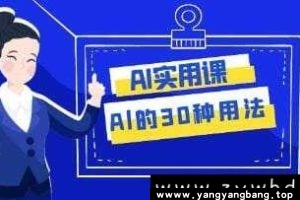 《Al的30种用法》AI实用课让工作效率提升数倍视频[MP4/4GB]百度网盘下载