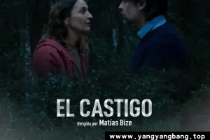 美剧《惩罚》高清电影视频中字[MP4/4GB]百度网盘下载