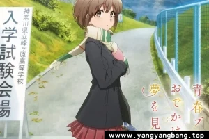 动画《青春期猪头少年不会梦到娇怜外出妹》视频日语中字[MP4/611MB]百度云网盘下载