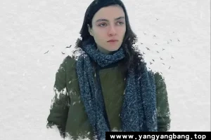 美剧《雪与熊》1080P超高清电影视频中字[MP4/2GB]百度网盘下载