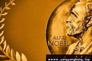 电子书《诺贝尔文学奖》全部作品大合集[PDF/azw3/epub/mobi/205MB]百度网盘下载