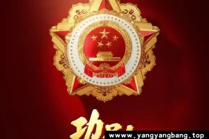 电视剧《功勋》全48集高清视频合集[MP4/25GB]百度网盘下载