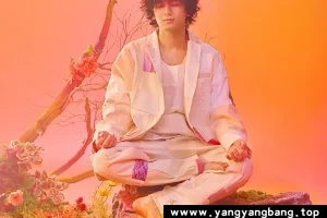 《藤井风 体育场演唱会》高清视频[MP4/2GB]百度云网盘下载