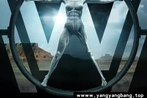 美剧《西部世界》全1-4季1080P超高清视频中字[MP4/78GB]云网盘下载