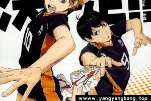 动画《排球少年》全1-4季+剧场版高清视频合集日语中字[MP4/48GB]云网盘下载