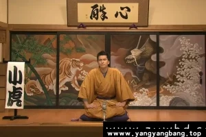 日剧《虎与龙》高清电影视频日语中字[MP4/3GB]云网盘下载