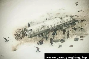 美剧《绝境盟约》高清视频英音中字[MP4/11GB]云网盘下载