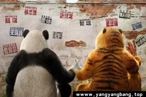 《动物园里有什么》1080P超高清电影视频[MP4/928MB]百度网盘下载