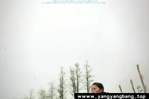 国产剧《夏来冬往》1080P超高清电影视频[MP4/6GB]百度网盘下载