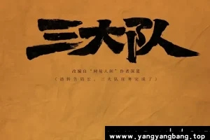 国产剧《三大队》高清电视剧视频合集[MP4/4GB]百度云网盘下载