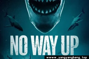 美剧《深渊鲨难/No Way Up》高清电影英音中字[MP4/4GB]百度网盘下载