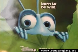 动画《虫虫危机(1998)》高清视频[MP4/7GB]云网盘下载