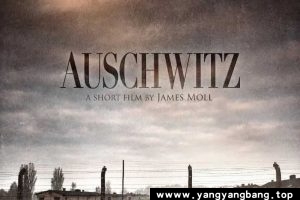 纪录片《奥斯维辛集中营》高清视频[MP4/2GB]云网盘下载