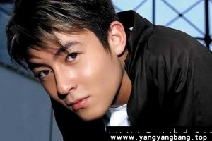 《陈冠希》19部电影视频合集[MP4/53GB]云网盘下载