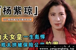 《杨紫琼》29部电影视频作品资源合集[MP4/235GB]云网盘下载