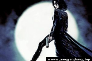 美剧《黑夜传说/Underworld》全1-5季[MP4/35GB]百度云网盘下载