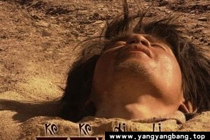 国产剧《可可西里(2004)》电影视频[MP4/7.7GB]百度网盘下载