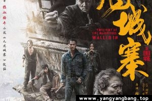 国产剧《九龙城寨之围城》4K超高清视频[MP4/5GB]百度云网盘下载