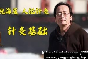 《倪海厦人纪 针灸》全集视频学习资料资源百度云网盘下载