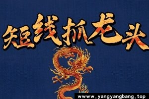 《28位游资大佬交易心法+交割单+龙湖榜解码》[MP4/PDF/2.39GB]合集网盘下载