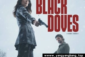 英剧《黑鸽第一季/Black Doves Season 1》全6集1080P网盘下载