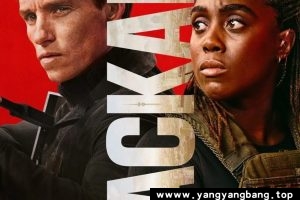 美剧《豺狼的日子/The Day of the Jackal》全集4K视频合集云网盘下载