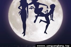 动画《猫眼三姐妹/猫之眼/キャッツ♥アイ/Cat’s Eye》全1-2季1080P网盘下载