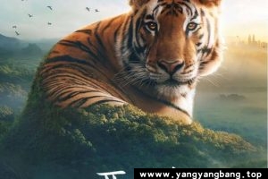 纪录片《亚洲/Asia》全7集4K超高清视频国英双语双字云网盘下载